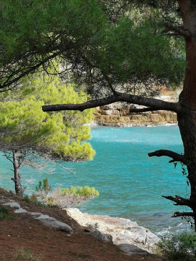 Apartamento Apartmani Andrea Pula Croacia