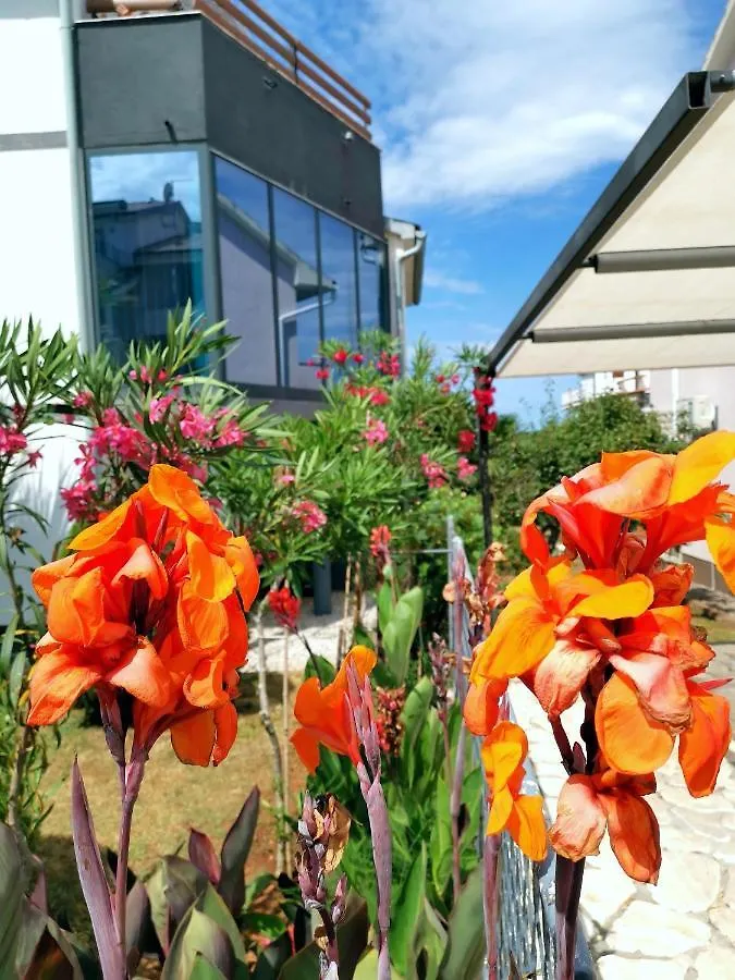 Apartmani Andrea Pula Kroatien